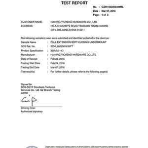 SGS TEST REPORT